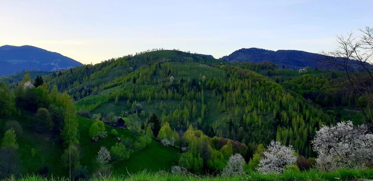 La Odai Бран Екстериор снимка
