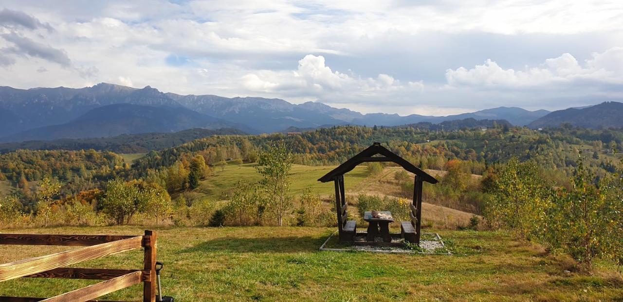 La Odai Бран Екстериор снимка